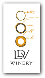 LDV logo with explanation text to the right.