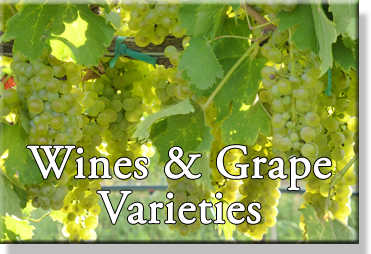 Wine & Grape Varieties